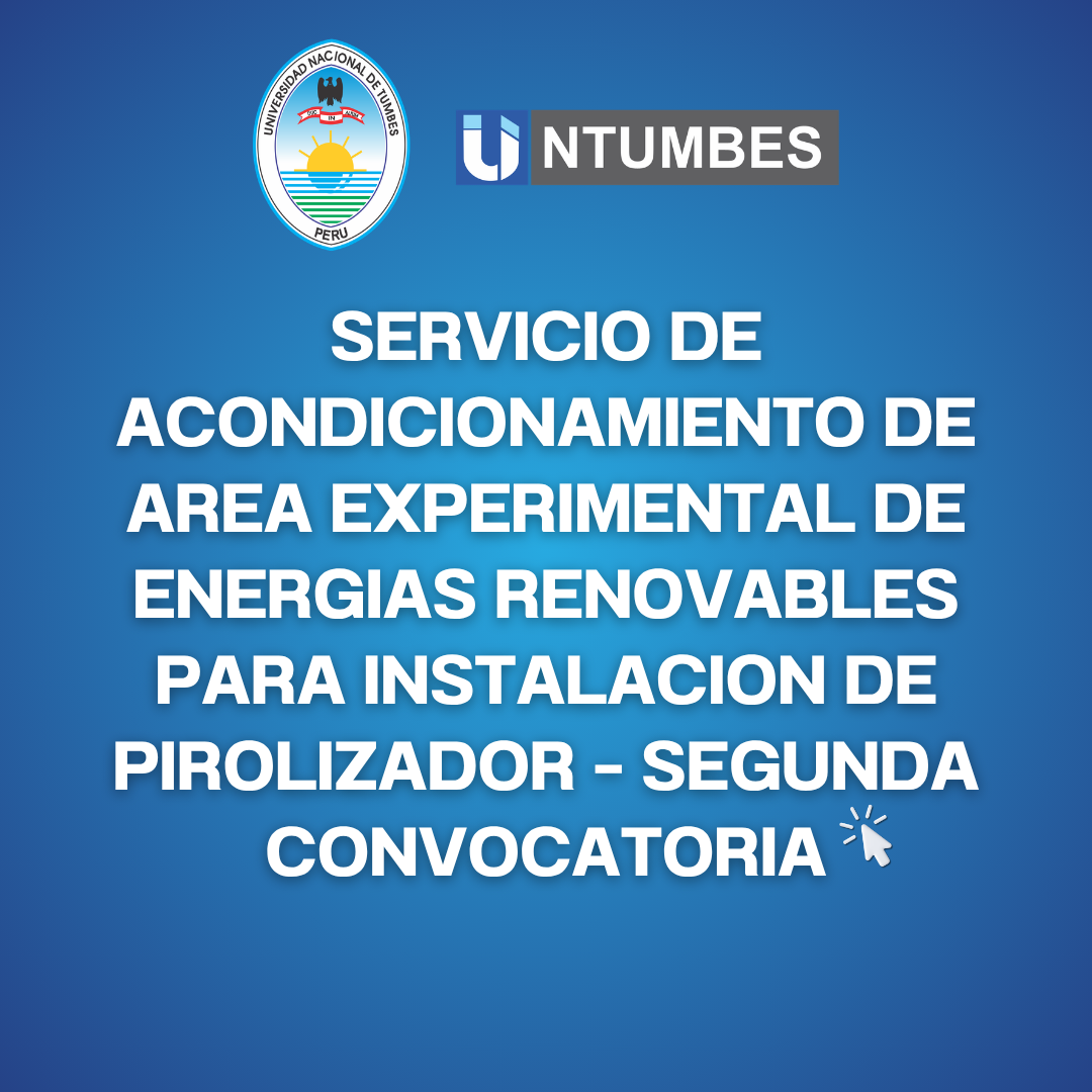 SERVICIO DE ACONDICIONAMIENTO DE AREA EXPERIMENTAL DE ENERGIAS RENOVABLES PARA INSTALACION DE PIROLIZADOR – SEGUNDA CONVOCATORIA